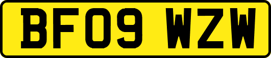 BF09WZW
