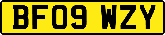 BF09WZY