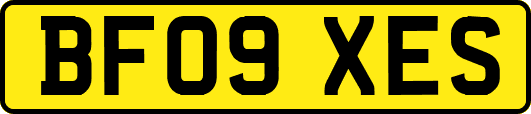 BF09XES