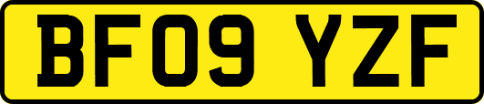 BF09YZF