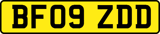 BF09ZDD