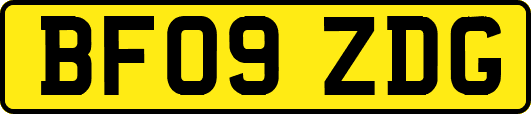 BF09ZDG