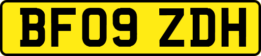 BF09ZDH