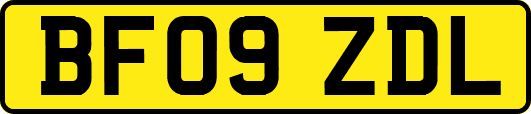 BF09ZDL