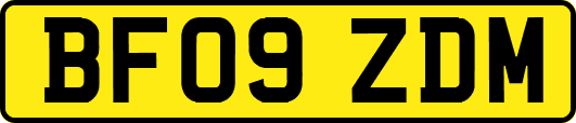 BF09ZDM