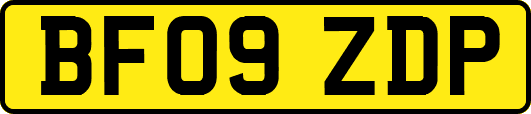 BF09ZDP