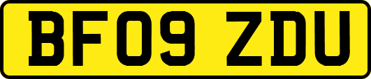 BF09ZDU