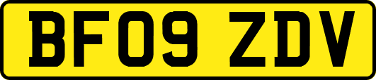 BF09ZDV