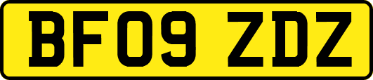 BF09ZDZ