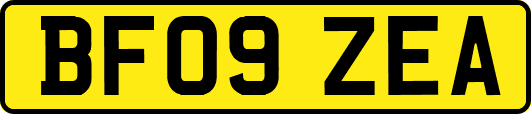 BF09ZEA