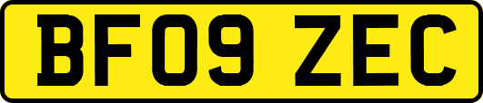 BF09ZEC