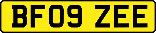 BF09ZEE
