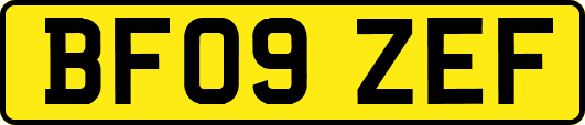 BF09ZEF