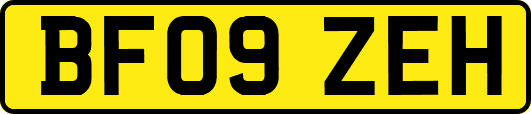 BF09ZEH