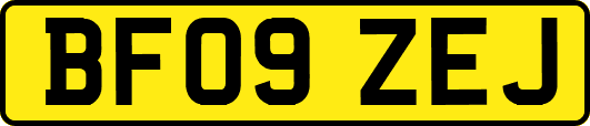 BF09ZEJ