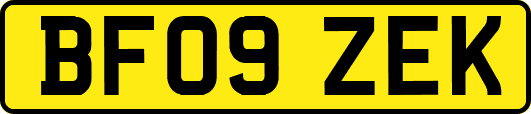 BF09ZEK