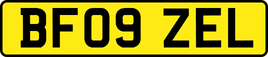 BF09ZEL