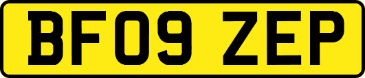 BF09ZEP