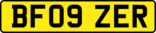 BF09ZER