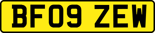 BF09ZEW