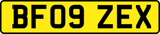 BF09ZEX
