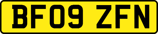 BF09ZFN