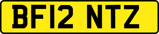 BF12NTZ