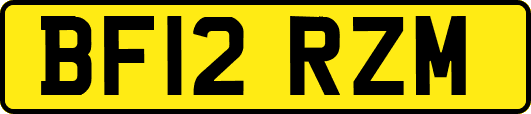 BF12RZM