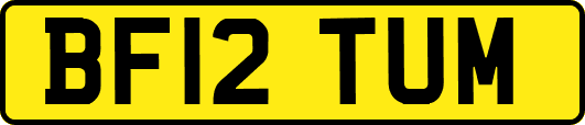 BF12TUM