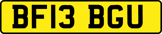 BF13BGU