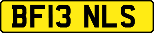 BF13NLS