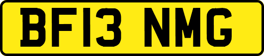 BF13NMG