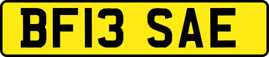 BF13SAE
