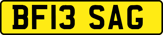 BF13SAG