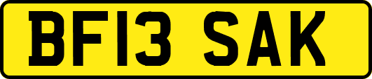 BF13SAK
