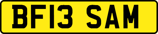 BF13SAM