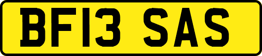 BF13SAS