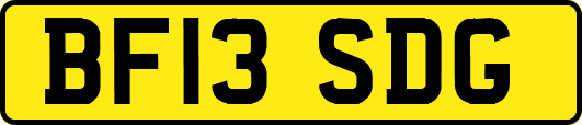 BF13SDG