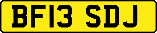 BF13SDJ