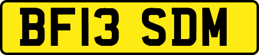 BF13SDM