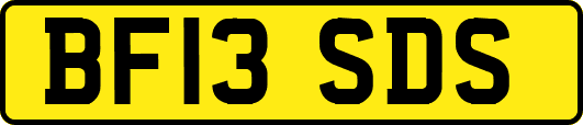 BF13SDS