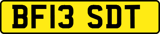 BF13SDT