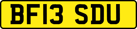 BF13SDU