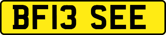 BF13SEE