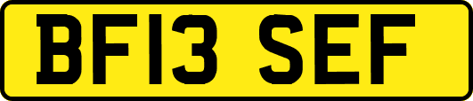 BF13SEF
