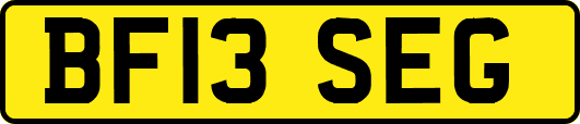 BF13SEG