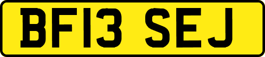 BF13SEJ