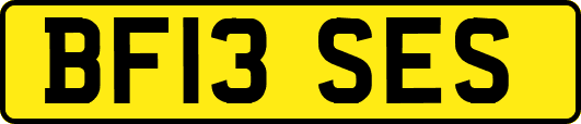BF13SES