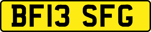 BF13SFG