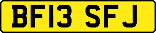 BF13SFJ